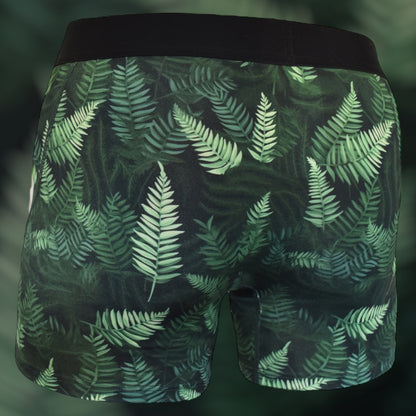 Forest Ferns